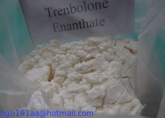 Muscle Building Trenbolone Enanthate supplier