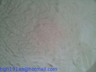 Raw Anabolic Nandrolone Steroid  supplier