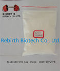 China CAS 58-20-8 Test Cyp Raw Testosterone Powder / Testosterone Cypionate 99% High Purity distributor
