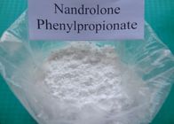 Best 99% Pure Nandrolone Steroid Phenylpropionate Durabolin bodybuilding CAS No. 62-90-8 for sale
