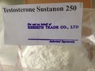 Best White / Off - White Raw Testosterone Sustanon For Burning Body Fat for sale